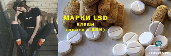 стафф Арсеньев