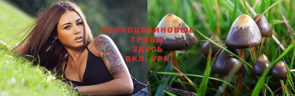 шишки Балахна