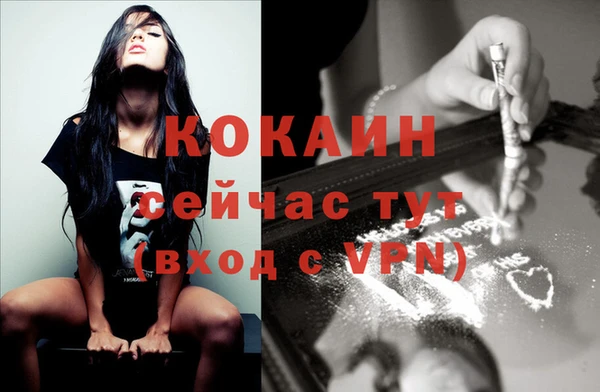 шишки Балахна