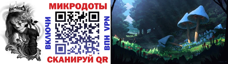 Псилоцибиновые грибы Psilocybe  Нурлат 